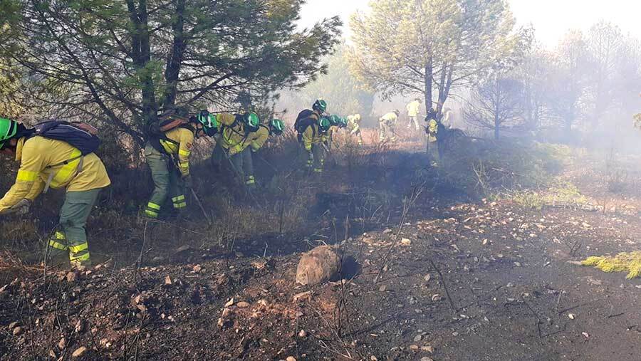 El Infoca da por controlado el incendio forestal de Cabezas Rubias