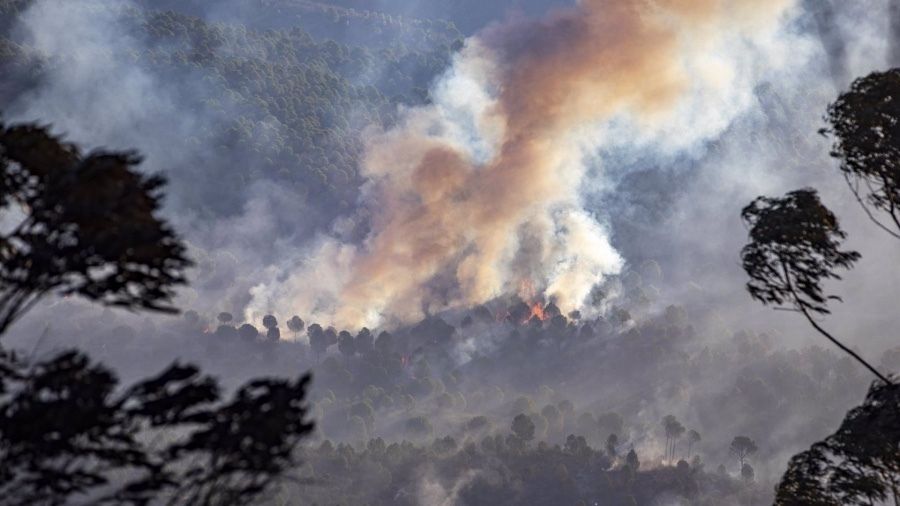 Ayuntamientos afectados por el incendio de Almonaster plantean la declaración de zona catastrófica