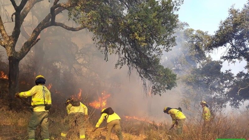 La Brigada de Investigación de Incendios Forestales descarta que el origen del fuego de Almonaster esté en unas obras en Cueva de la Mora