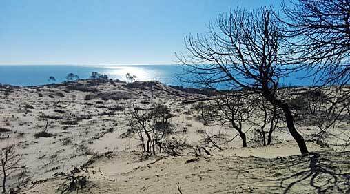 3,2 millones para el mayor proyecto de restauración tras el incendio de Doñana de 2017