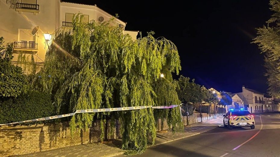 Retiran de madrugada un árbol caído que interrumpía la circulación frente al centro de salud de Cartaya