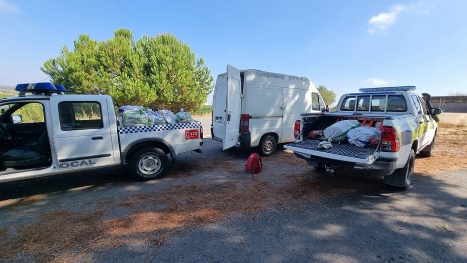 Sorprenden ‘in fraganti’ a tres personas recogiendo piña sin autorización: llevaban 550 kilos