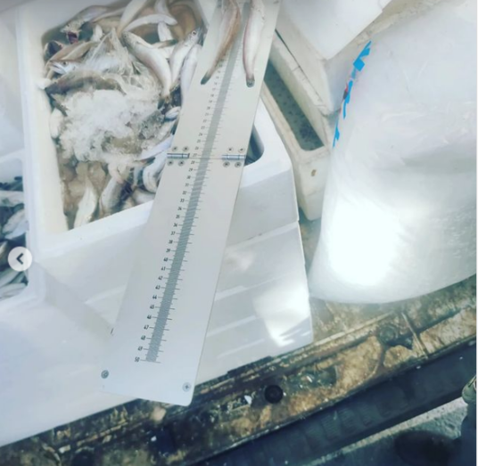 Interceptan en la avenida Diego Morón un vehículo con 100 kilos de pescado inmaduro