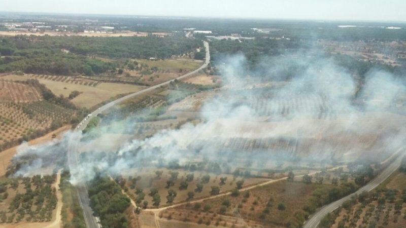 Una quincena de efectivos del Infoca intervenienen en un incendio forestal en Bonares