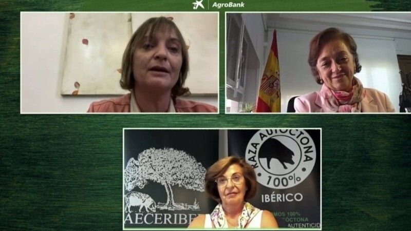 CaixaBank organiza la Jornada Agrobank digital para analizar el futuro del sector del porcino ibérico