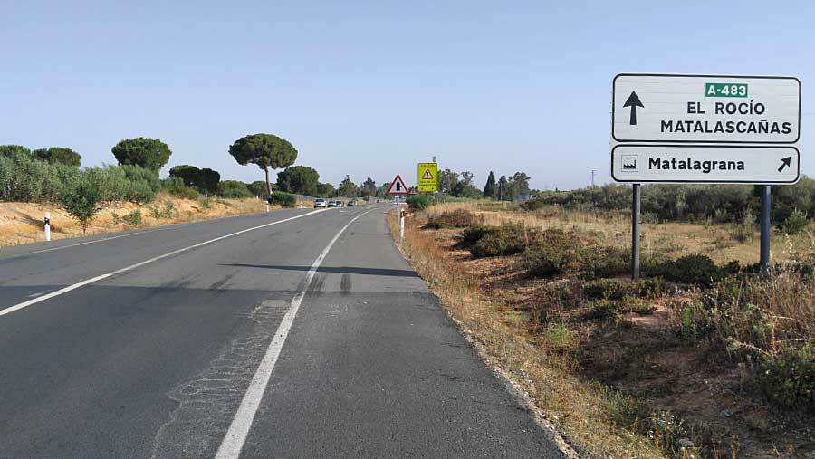 Adjudicada la redacción del proyecto del tercer carril entre El Rocío y Matalascañas