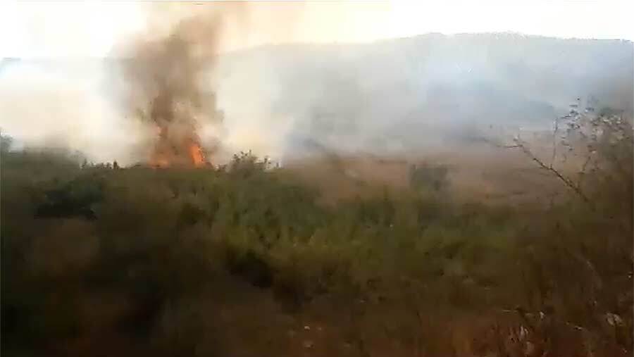 Declarado un incendio forestal en el paraje Arroyo Hondo de Bonares
