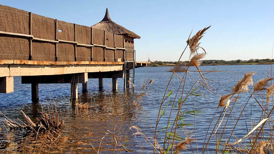 Fundación Cepsa inaugura un ciclo de mesas redondas en el 20º aniversario de la restauración de Laguna Primera