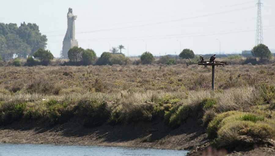 Un paseo histórico a través del río Odiel