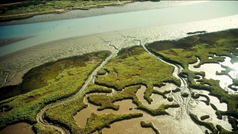 Un paseo histórico a través del río Odiel