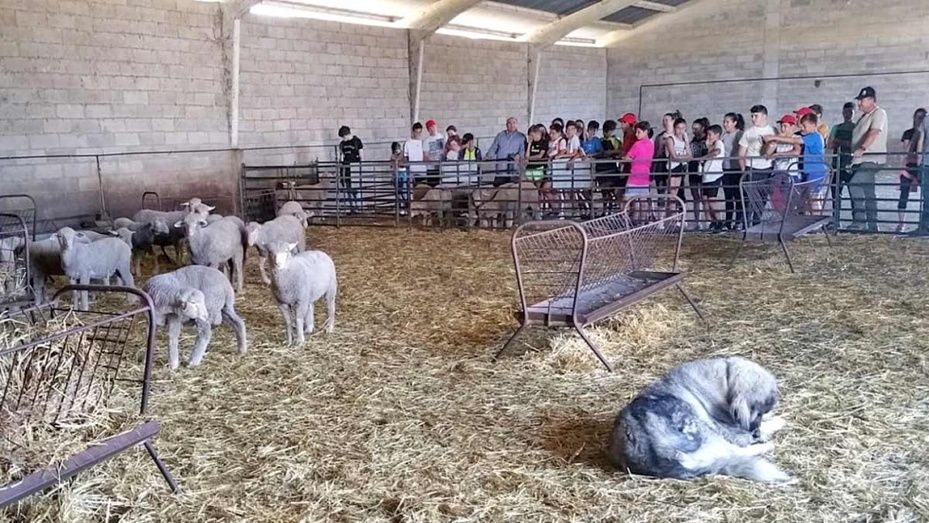 La Diputación retoma los encuentros juveniles del Huerto Ramírez