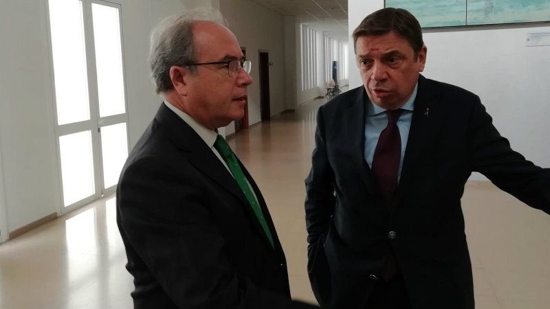 Planas señala que la inmigración 'controlada' a demanda de los empresarios para el campo 'es un factor positivo'