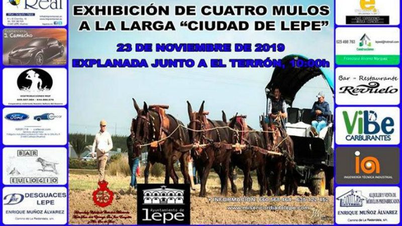 Exhibición de cuatro mulos a la larga 'Ciudad de Lepe' junto al puerto de El Terrón