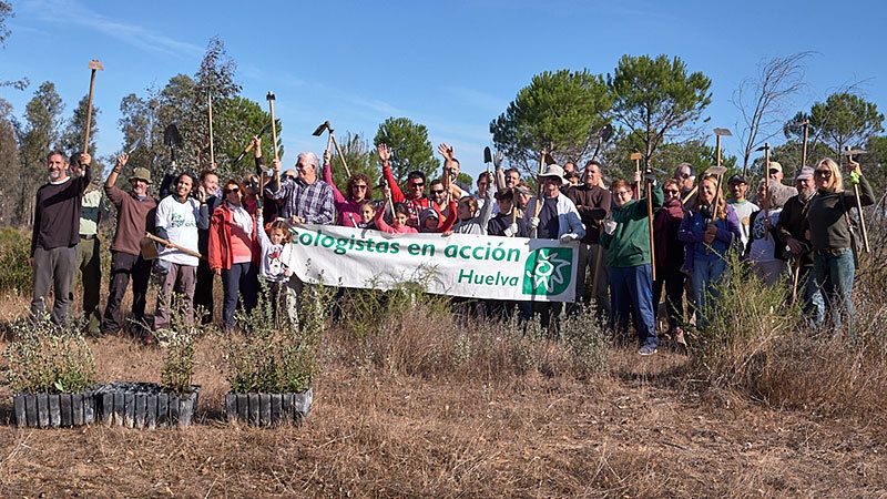 Decenas de voluntarios participan en una jornada de reforestación en Doñana