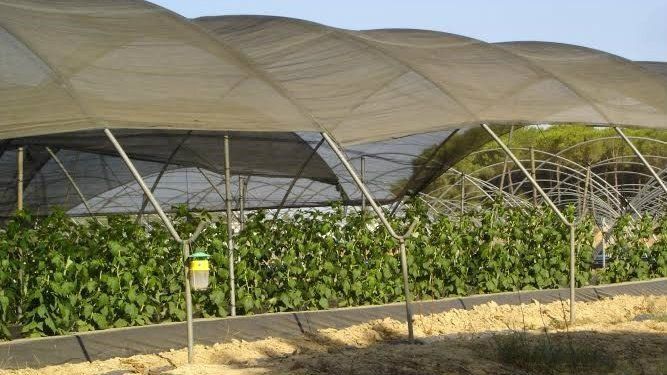 WWF dice que El Fresno 'se intenta saltar el Plan de la Corona Forestal' y los regantes lo niegan