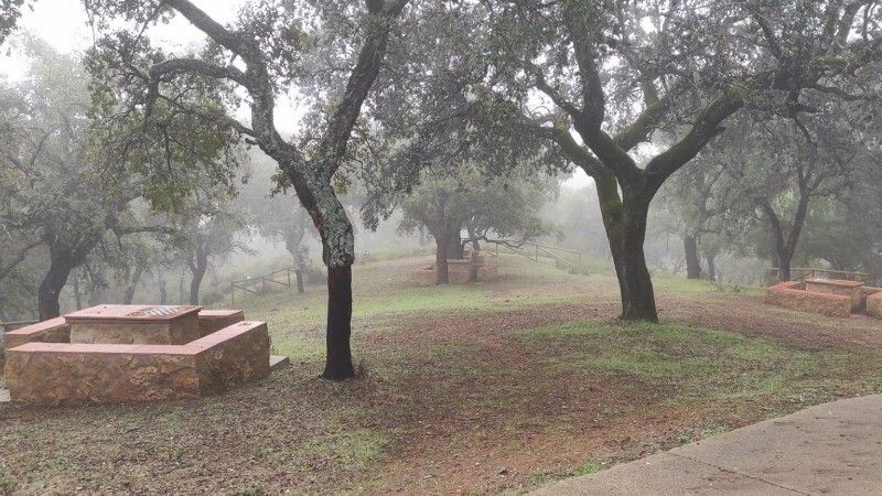 La Policía Local de Aracena identifica a 20 de los menores de entre 14 y 16 años que celebraron el botellón en mitad del campo