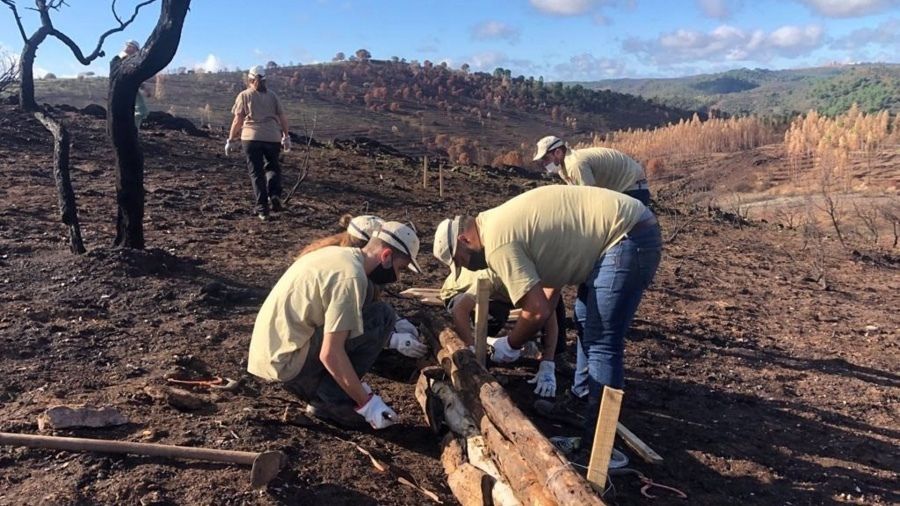 La Junta inicia con voluntarios los trabajos de emergencia en la zona del incendio de Almonaster