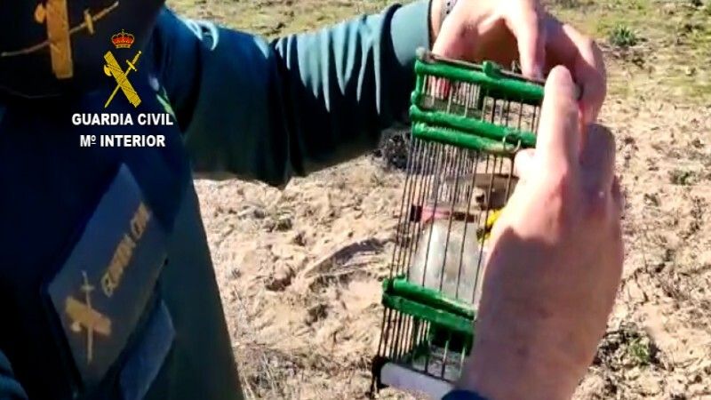 Sorprenden a dos personas cazando aves de manera ilegal en las marismas de Isla Cristina