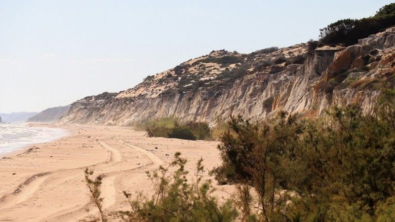 La senda de los gigantes fósiles de Doñana en la travesía por el Médano del Asperillo
