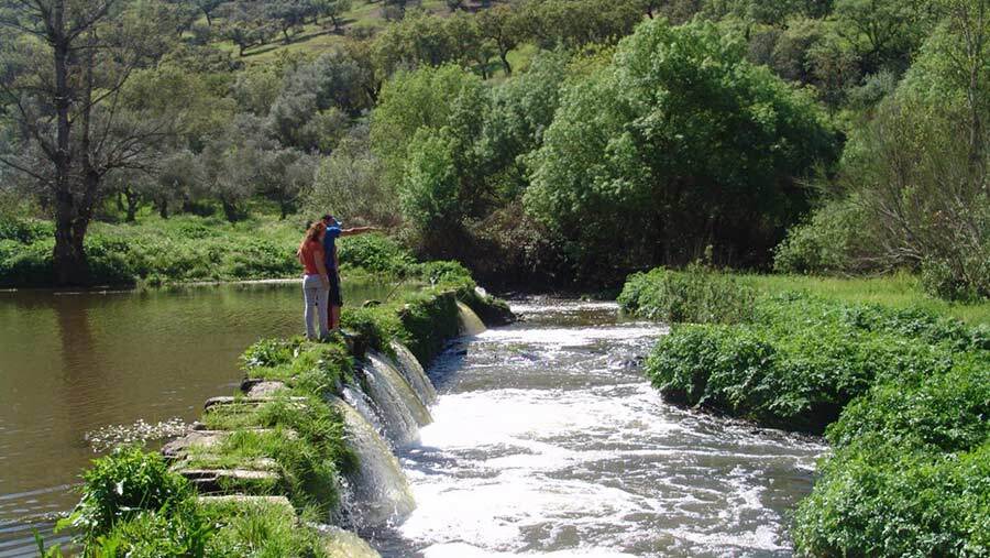 Piden soluciones urgentes para acabar con los vertidos de aguas residuales en el río Múrtigas