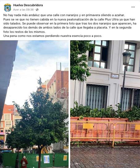 El runrún: Los árboles no van al matadero