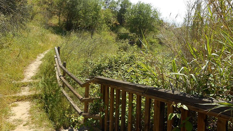 La Diputación destina 130.000 euros a arreglos y mejoras de caminos rurales en municipios menores de 1.500 habitantes