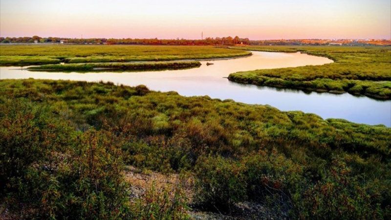 Todo preparado en Corrales para el Proyecto Huelva 2019 de Geocaching
