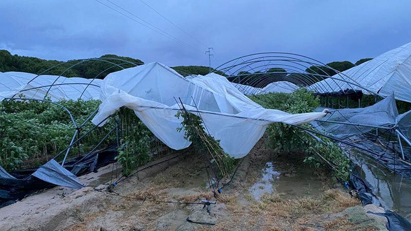 La cola de un tornado impacta en el Condado y deja más de 20 hectáreas afectadas