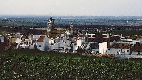 Lucena, La Palma, Jabugo y Bonares, los municipios onubenses con las tasas más altas