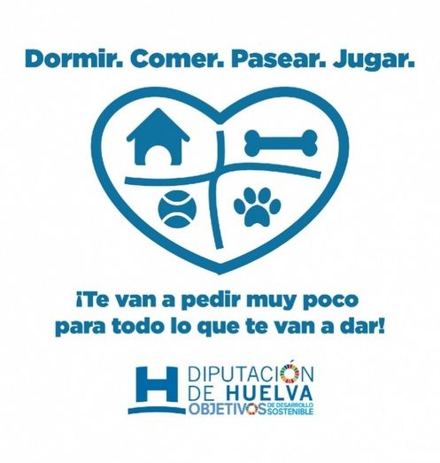 La Diputación promueve una campaña para concienciar contra el abandono animal y adoptar mascotas en vez de comprarlas