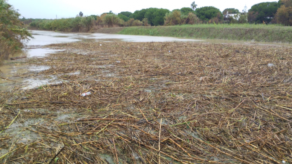 Indignación entre los vecinos de Bellavista y La Dehesa por el estado del arroyo de El Chorrito