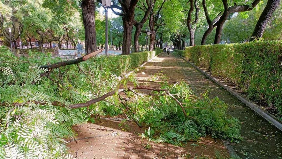 Anegaciones puntuales y caída de ramas copan las incidencias meteorológicas en las últimas horas