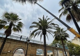 Llegan las nuevas cubiertas al cuartel de Santa Fe