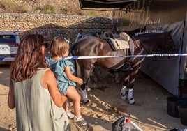 La pasión por el caballo, de nuevo protagonista en la última de Colombinas