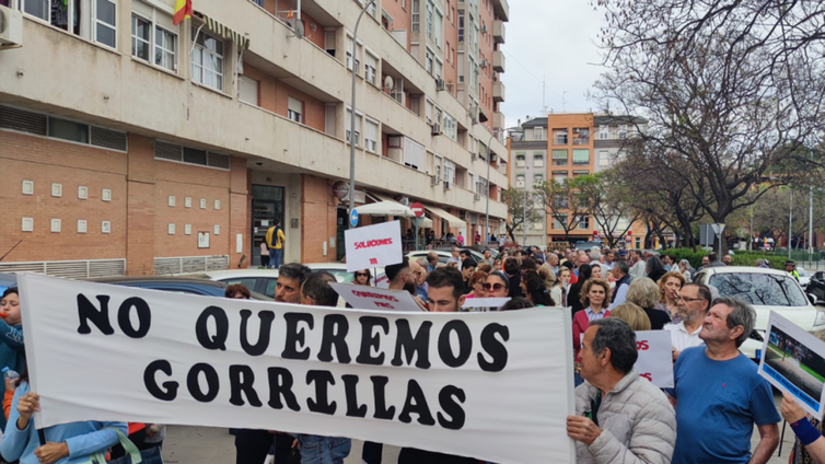 Plan municipal para frenar la presencia de gorrillas en el barrio de Nuevo Molino