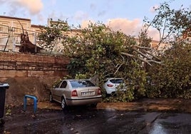 ¿Cuáles son los pasos a seguir para reclamar los daños del temporal?
