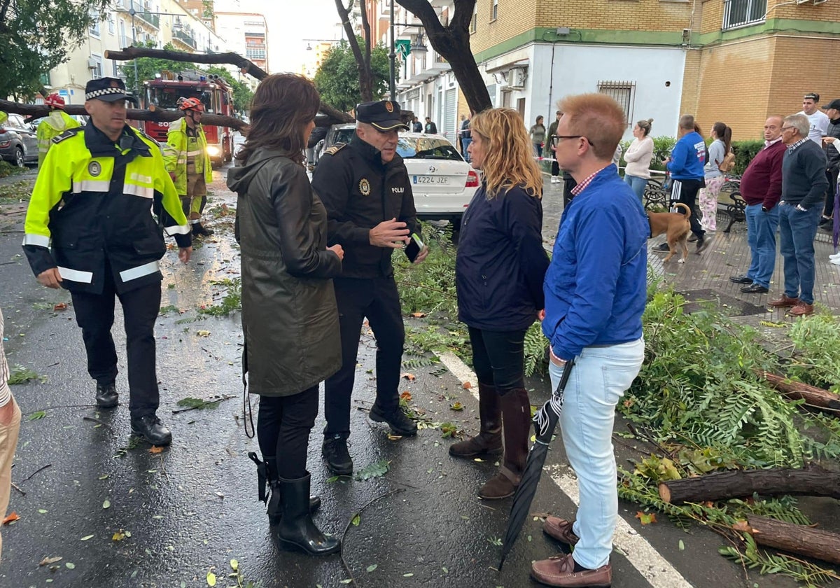 El equipo de Gobierno valora los daños del temporal en la tarde del domingo