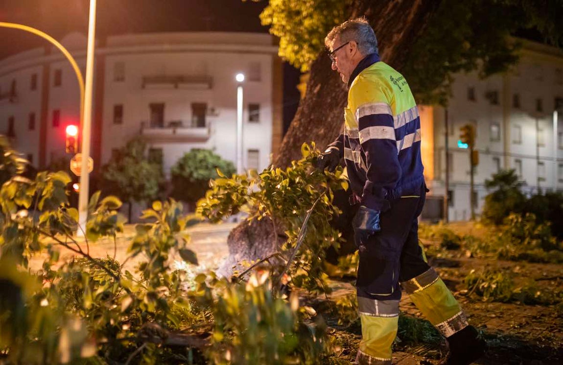 El desolador estado de Huelva capital tras el paso de &#039;Bernard&#039;