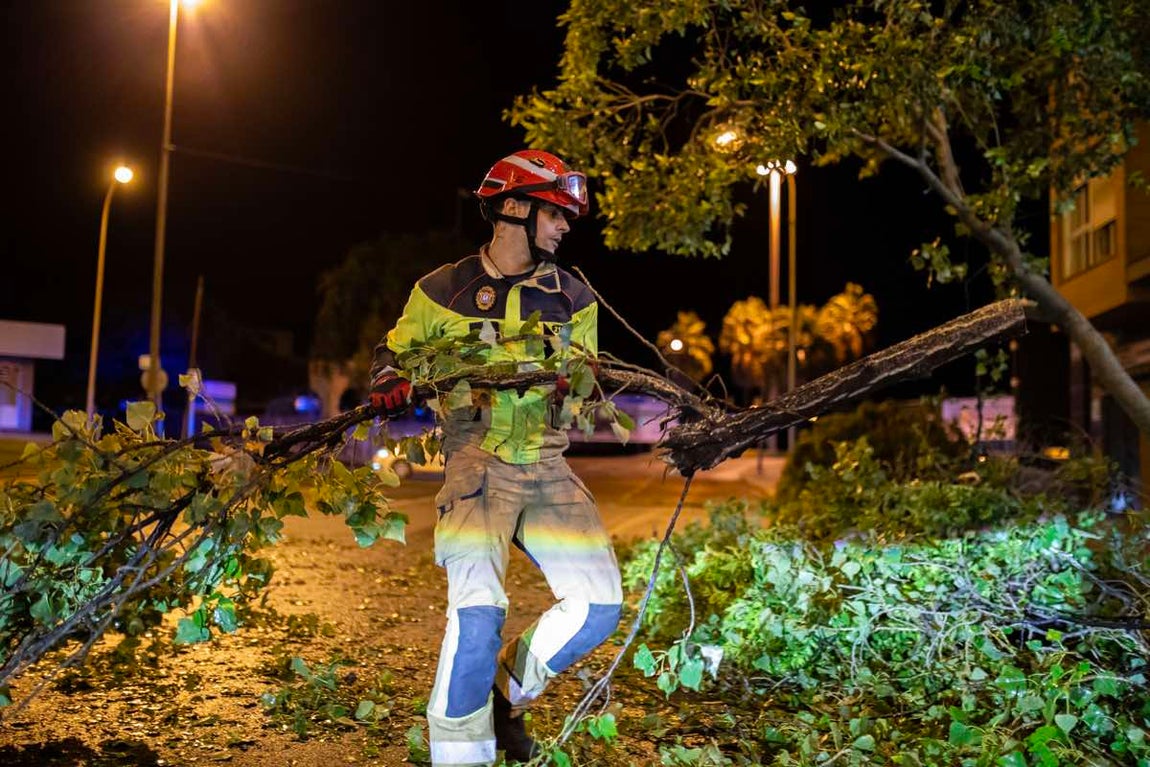 El desolador estado de Huelva capital tras el paso de &#039;Bernard&#039;