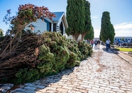 Cuándo reabre el cementerio de Huelva tras los efectos del temporal y qué horarios  tendrá los días de  Todos los Santos y de los Difuntos