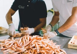 Saborea Huelva, la empresa que lleva el marisco fresco onubense a cualquier mesa de España en 24 horas