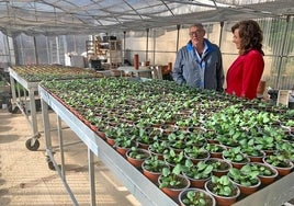 El Ayuntamiento apuesta por el vivero municipal para  cubrir espacios verdes de los barrios