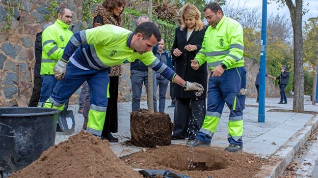 Comienza la reforestación de la capital para recuperar los árboles derribados por la borrasca 'Bernard'
