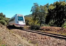 Huelva se unirá el domingo al clamor de media España por la vertebración ferroviaria del oeste peninsular