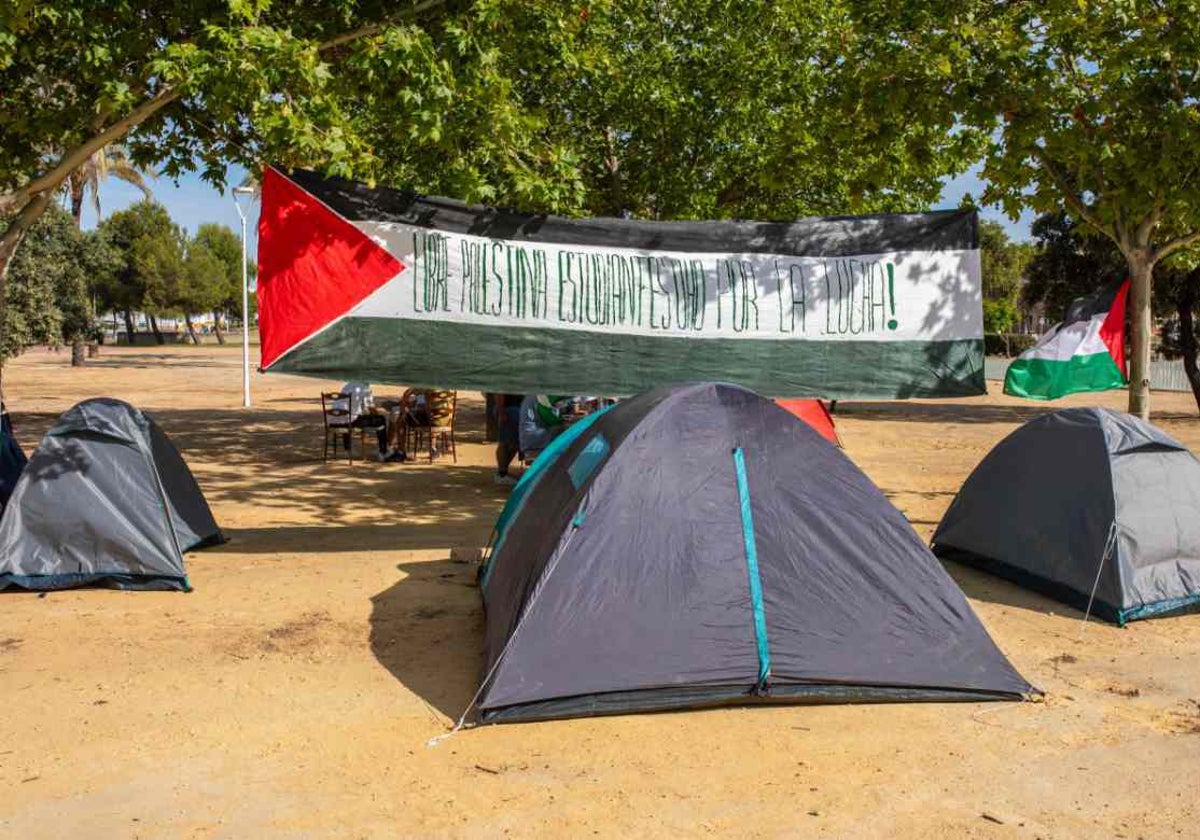 Convocan una manifestación pro Palestina en Huelva para el próximo domingo