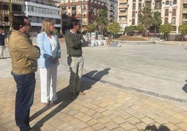 La Plaza de La Merced contará con más de 500 ejemplares en sus zonas verdes