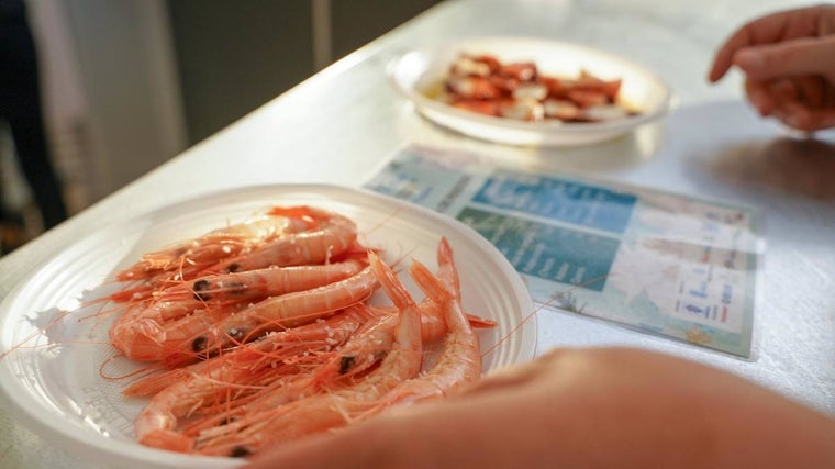 Plato de gambas