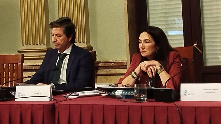 Vox ha sido el único grupo en votar en contra