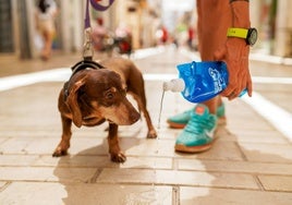 El Ayuntamiento de Huelva repartirá  botellas para la limpieza de la orina de los perros y recuerda que las multas pueden llegar a 500€