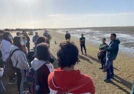 El yacimiento arqueológico de Saltés, más cerca de estar «a disposición del público»